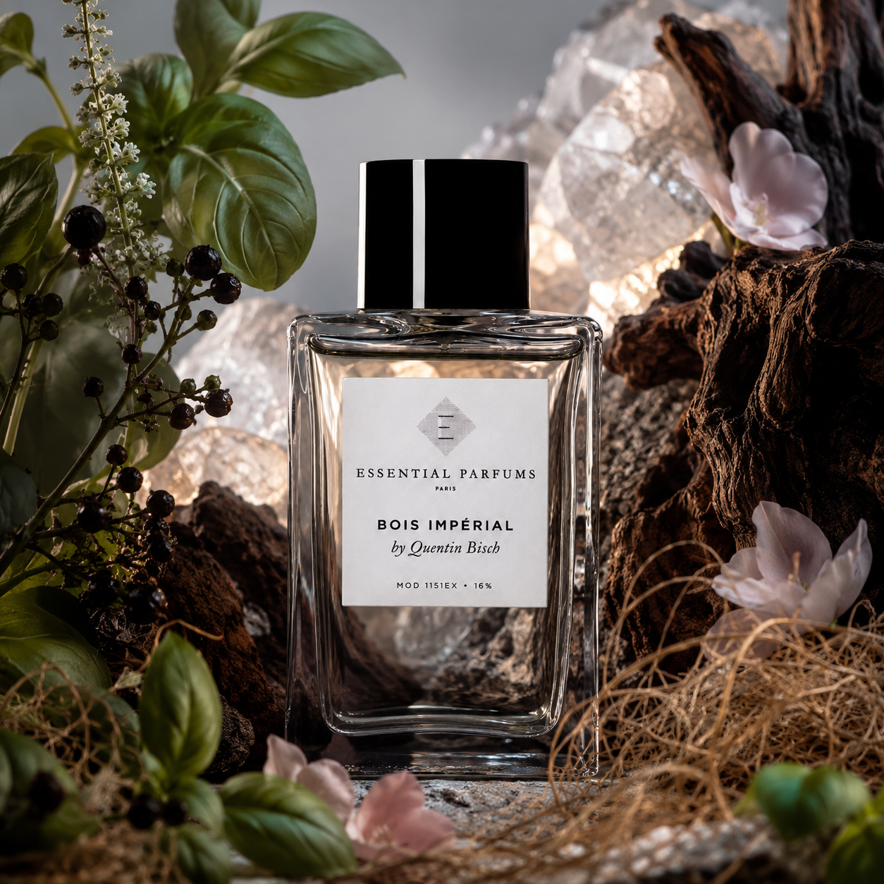 Universo olfativo de Bois Impérial Essential Parfums con albahaca tailandesa, pimienta Timut, vetiver, Akigalawood, Georgywood, Petalia y pachulí.
